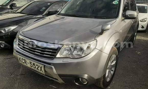 Buy Used Subaru Forester Silver Car in Nairobi in Nairobi Buy Used Subaru Forester Silver Car in Nairobi in Nairobi