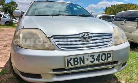 Nunua Ilio tumika Toyota Corolla Fedha Gari ndani ya Nairobi nchini Nairobi