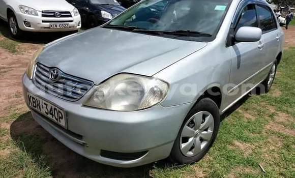 Buy Used Toyota Corolla Silver Car in Nairobi in Nairobi Buy Used Toyota Corolla Silver Car in Nairobi in Nairobi