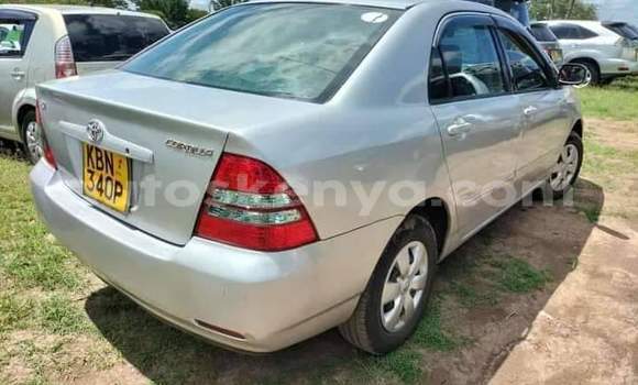 Buy Used Toyota Corolla Silver Car in Nairobi in Nairobi Buy Used Toyota Corolla Silver Car in Nairobi in Nairobi