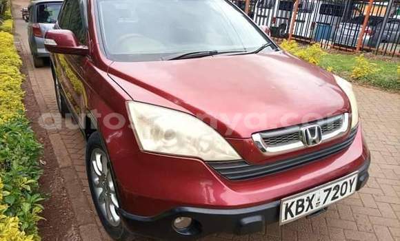 Oofamaa Honda CR–V Red Makiinaa iti Nairobi keessatti Nairobi keessatti