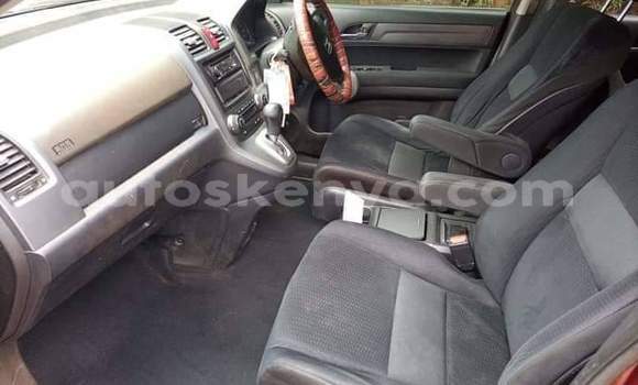 Buy Used Honda CR–V Red Car in Nairobi in Nairobi Buy Used Honda CR–V Red Car in Nairobi in Nairobi