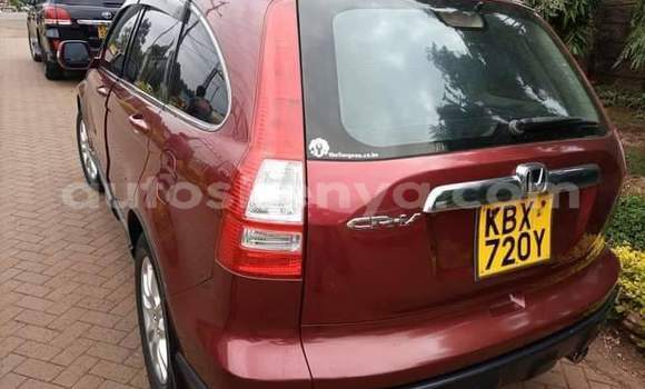 Buy Used Honda CR–V Red Car in Nairobi in Nairobi Buy Used Honda CR–V Red Car in Nairobi in Nairobi