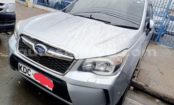 Oofamaa Subaru Forester Silver Makiinaa iti Mombasa keessatti Coastal Kenya keessatti