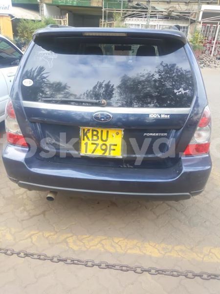 Big with watermark 53595929 2488739534487141 7420959852555403264 n