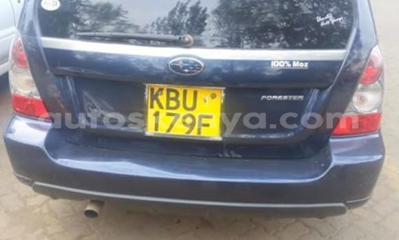 Oofamaa Subaru Forester Blue Makiinaa iti Nairobi keessatti Nairobi keessatti Oofamaa Subaru Forester Blue Makiinaa iti Nairobi keessatti Nairobi keessatti
