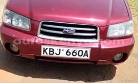 Oofamaa Subaru Forester Blue Makiinaa iti Nairobi keessatti Nairobi keessatti Oofamaa Subaru Forester Blue Makiinaa iti Nairobi keessatti Nairobi keessatti
