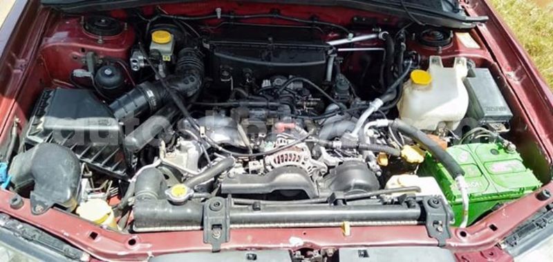 Big with watermark 53345322 2485356491492112 5889846733571096576 n