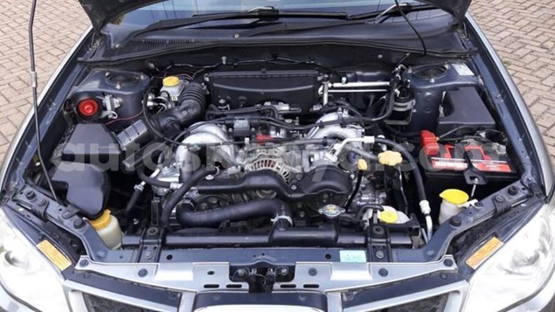 Big with watermark 53593416 790404808001135 2824073393781866496 n