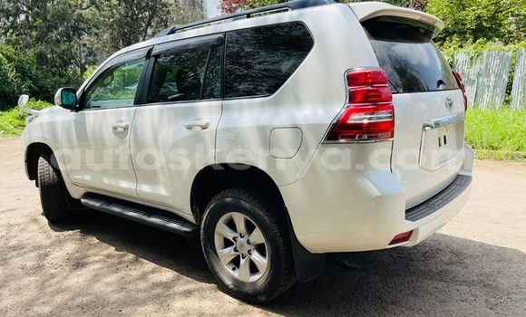 Buy Used Toyota Land Cruiser Prado White Car in Nairobi in Nairobi Buy Used Toyota Land Cruiser Prado White Car in Nairobi in Nairobi