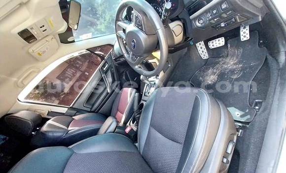 Buy Used Subaru Forester White Car in Nairobi in Nairobi Buy Used Subaru Forester White Car in Nairobi in Nairobi