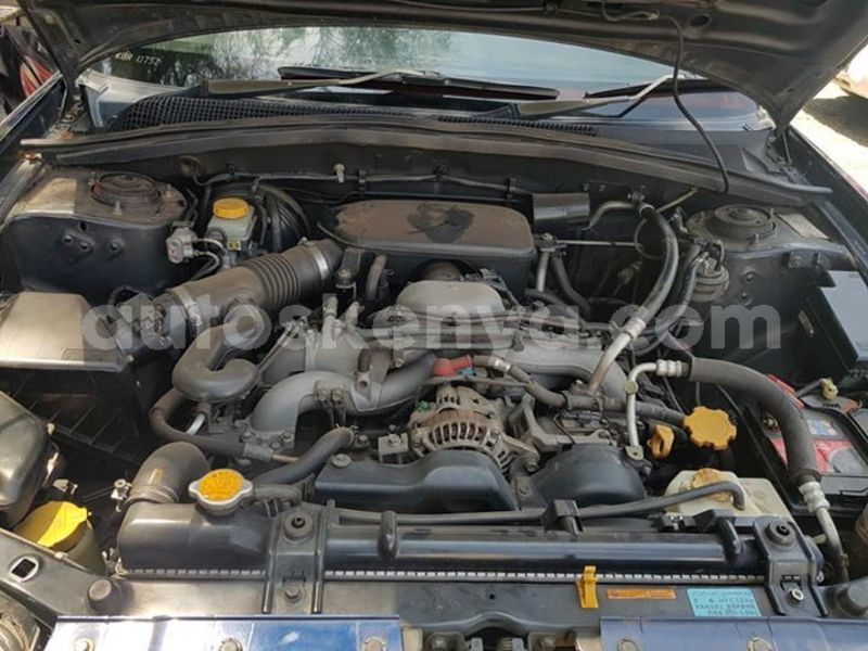 Big with watermark 53196699 10218560695591465 8566791912344780800 n