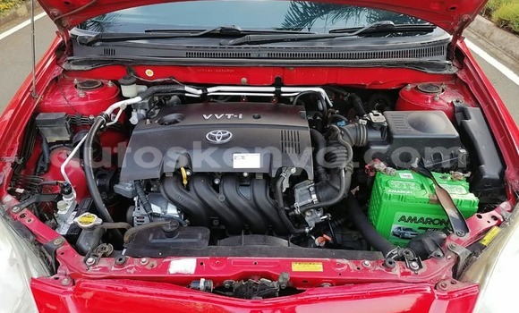 Buy Used Toyota Runx Red Car in Nairobi in Nairobi Buy Used Toyota Runx Red Car in Nairobi in Nairobi