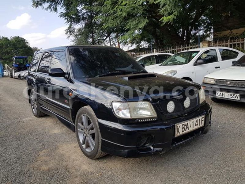 Big with watermark 50705154 10218236554808148 7628068789090779136 n