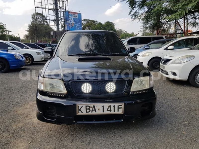 Big with watermark 50591980 10218236555168157 4346106638369816576 n