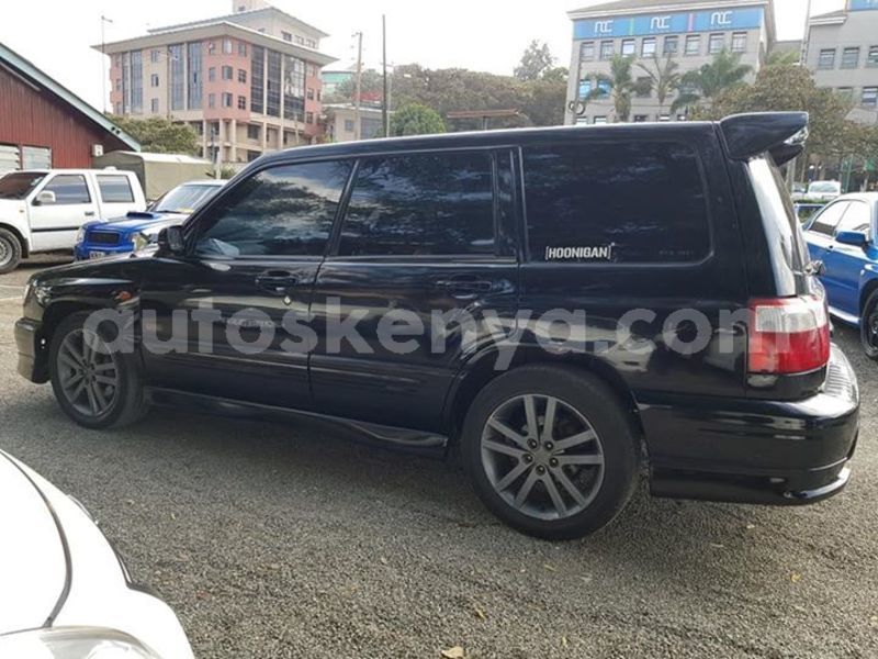 Big with watermark 50416189 10218236556008178 3386978348830818304 n