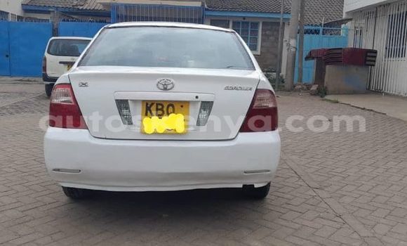 Nunua Ilio tumika Toyota Corolla Nyeupe Gari ndani ya Nairobi nchini Nairobi Nunua Ilio tumika Toyota Corolla Nyeupe Gari ndani ya Nairobi nchini Nairobi
