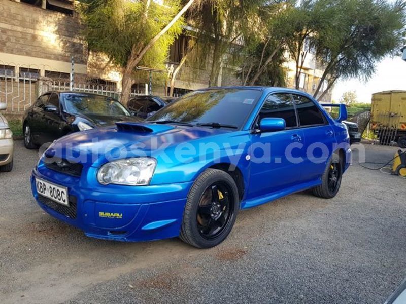 Big with watermark 50079600 10218163044450435 719828079198863360 n