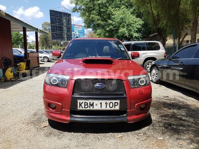 Big with watermark 49069647 10218034492596719 7165139428468326400 n