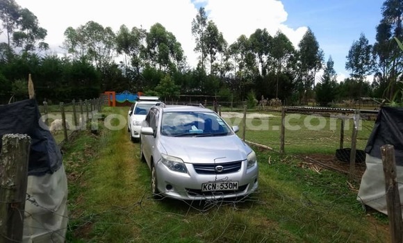 Nunua Ilio tumika Toyota Fielder Fedha Gari ndani ya Nairobi nchini Nairobi Nunua Ilio tumika Toyota Fielder Fedha Gari ndani ya Nairobi nchini Nairobi