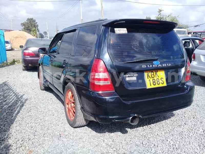 Big with watermark 53781161 412877469524418 3746315748268572672 n