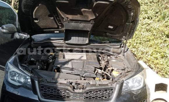 Oofamaa Subaru Forester Black Makiinaa iti Nairobi keessatti Nairobi keessatti Oofamaa Subaru Forester Black Makiinaa iti Nairobi keessatti Nairobi keessatti