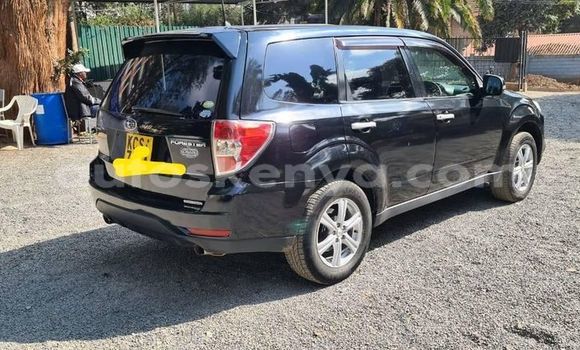 Oofamaa Subaru Forester Black Makiinaa iti Nairobi keessatti Nairobi keessatti Oofamaa Subaru Forester Black Makiinaa iti Nairobi keessatti Nairobi keessatti