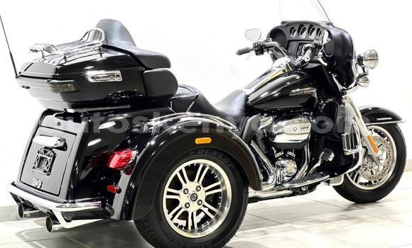 Oofamaa Harley Davidson Ultra Black Doqdoqqee iti Nairobi keessatti Nairobi keessatti Oofamaa Harley Davidson Ultra Black Doqdoqqee iti Nairobi keessatti Nairobi keessatti