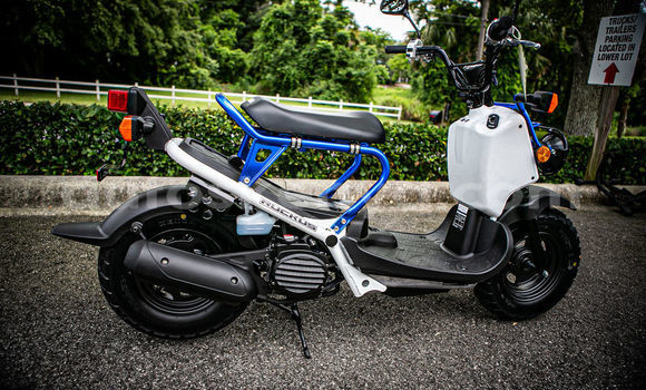 Buy New Honda Scooters Black Bike in Bungoma in West Kenya Buy New Honda Scooters Black Bike in Bungoma in West Kenya