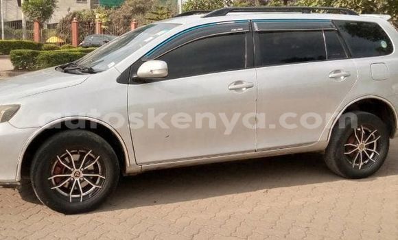 Oofamaa Toyota Fielder Silver Makiinaa iti Nairobi keessatti Nairobi keessatti