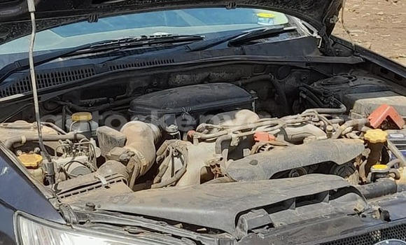 Oofamaa Subaru Legacy Black Makiinaa iti Nairobi keessatti Nairobi keessatti Oofamaa Subaru Legacy Black Makiinaa iti Nairobi keessatti Nairobi keessatti