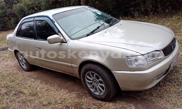 Buy Used Toyota Corolla Brown Car in Kajiado in Rift Valley