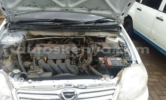 Buy Used Toyota Corolla White Car in Nairobi in Nairobi Buy Used Toyota Corolla White Car in Nairobi in Nairobi