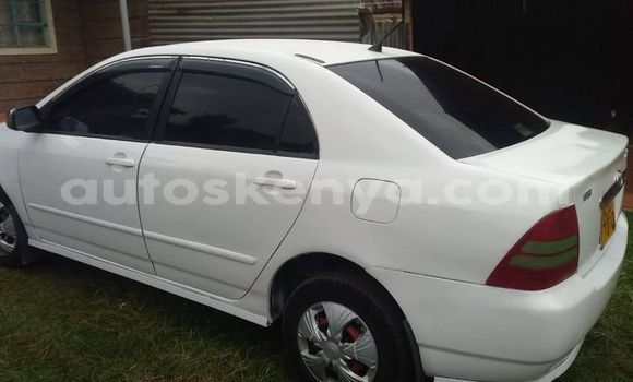 Buy Used Toyota Corolla White Car in Nairobi in Nairobi Buy Used Toyota Corolla White Car in Nairobi in Nairobi