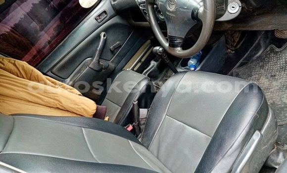 Buy Used Toyota Probox Beige Car in Nairobi in Nairobi Buy Used Toyota Probox Beige Car in Nairobi in Nairobi