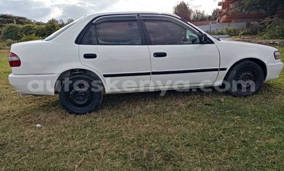 Oofamaa Toyota Corolla White Makiinaa iti Nairobi keessatti Nairobi keessatti
