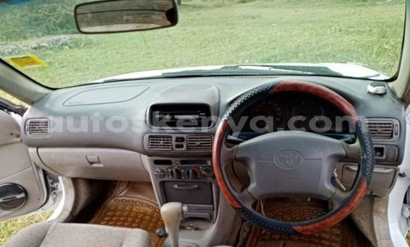 Buy Used Toyota Corolla White Car in Nairobi in Nairobi Buy Used Toyota Corolla White Car in Nairobi in Nairobi