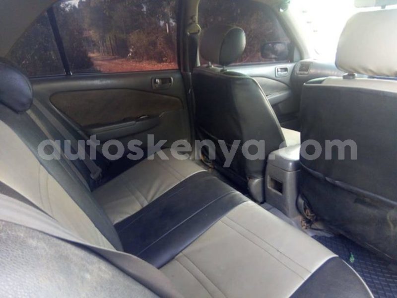 Big with watermark 54201336 10157163034523308 5744484046474313728 o