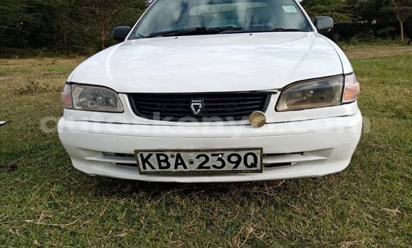 Buy Used Toyota Corolla White Car in Nairobi in Nairobi Buy Used Toyota Corolla White Car in Nairobi in Nairobi