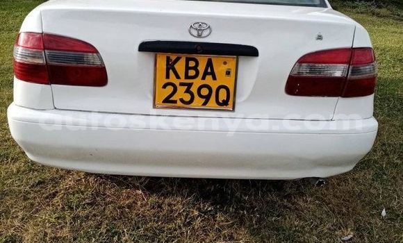 Buy Used Toyota Corolla White Car in Nairobi in Nairobi Buy Used Toyota Corolla White Car in Nairobi in Nairobi