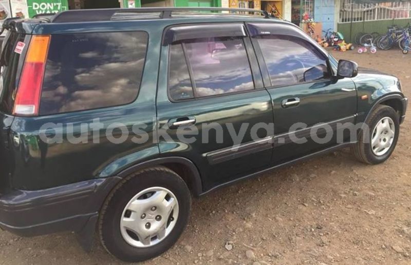 Big with watermark 53496291 10157162815978308 1720636500904771584 o