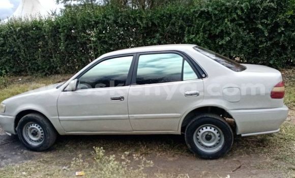 Nunua Ilio tumika Toyota Corolla Beige Gari ndani ya Nairobi nchini Nairobi