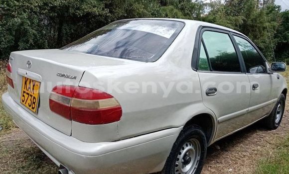 Buy Used Toyota Corolla Beige Car in Nairobi in Nairobi Buy Used Toyota Corolla Beige Car in Nairobi in Nairobi