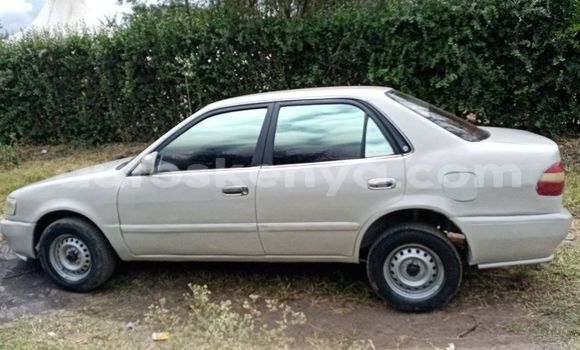 Buy Used Toyota Corolla Beige Car in Nairobi in Nairobi Buy Used Toyota Corolla Beige Car in Nairobi in Nairobi
