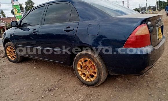 Buy Used Toyota Corolla Blue Car in Nairobi in Nairobi Buy Used Toyota Corolla Blue Car in Nairobi in Nairobi