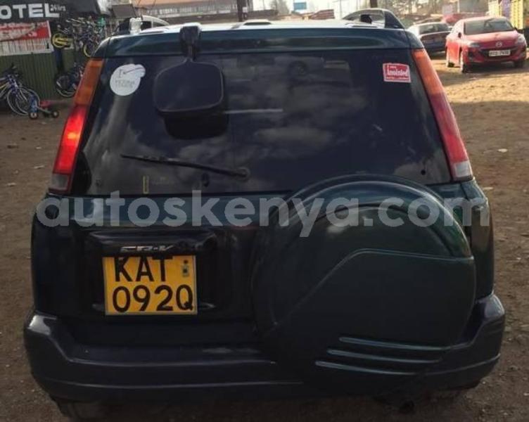 Big with watermark 54433245 10157162815908308 608596311792418816 n