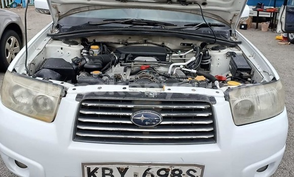 Buy Used Subaru Forester White Car in Nairobi in Nairobi Buy Used Subaru Forester White Car in Nairobi in Nairobi