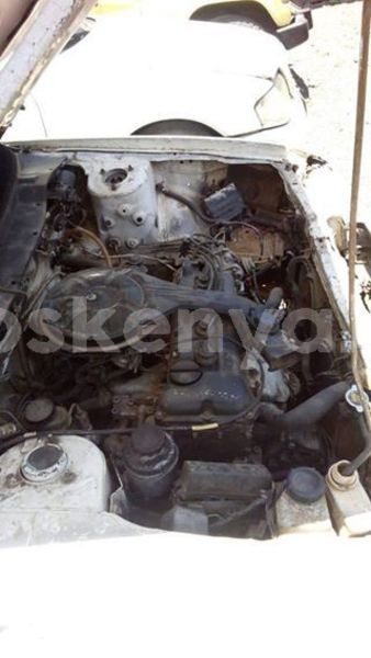 Big with watermark 53875450 10157160821273308 8152125112112381952 n