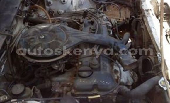 Buy Used Nissan Sunny White Car in Nairobi in Nairobi Buy Used Nissan Sunny White Car in Nairobi in Nairobi