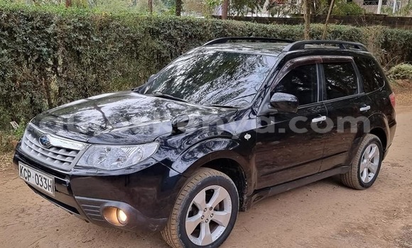 Oofamaa Subaru Forester Black Makiinaa iti Nairobi keessatti Nairobi keessatti Oofamaa Subaru Forester Black Makiinaa iti Nairobi keessatti Nairobi keessatti